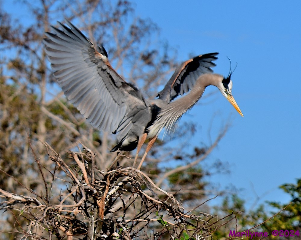 DSC_8928_001.JPG
