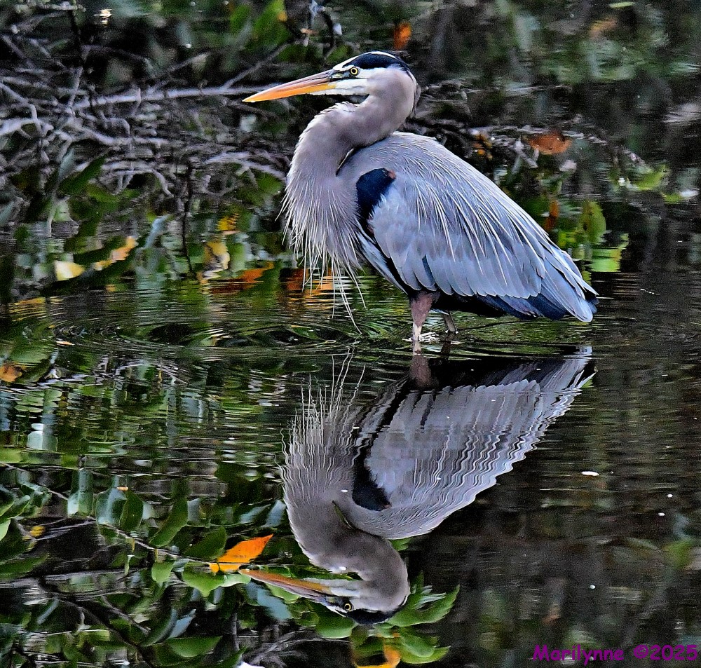 DSC_8929_001.JPG