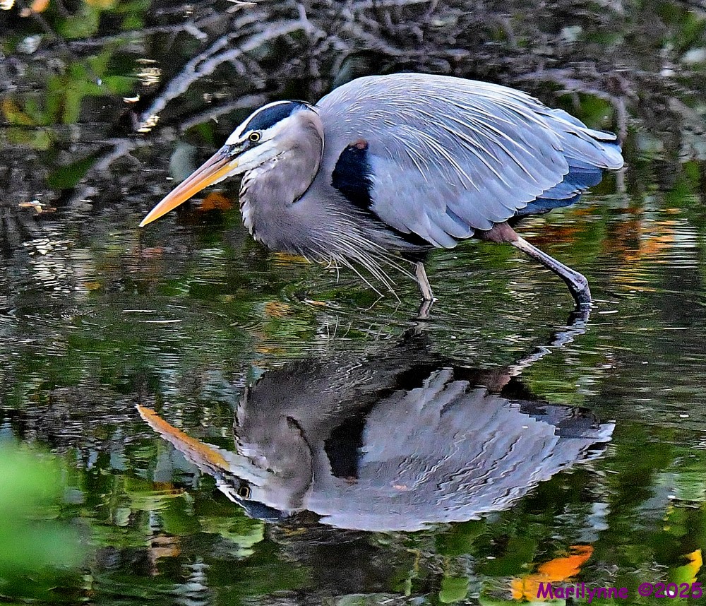 DSC_8934_001.JPG