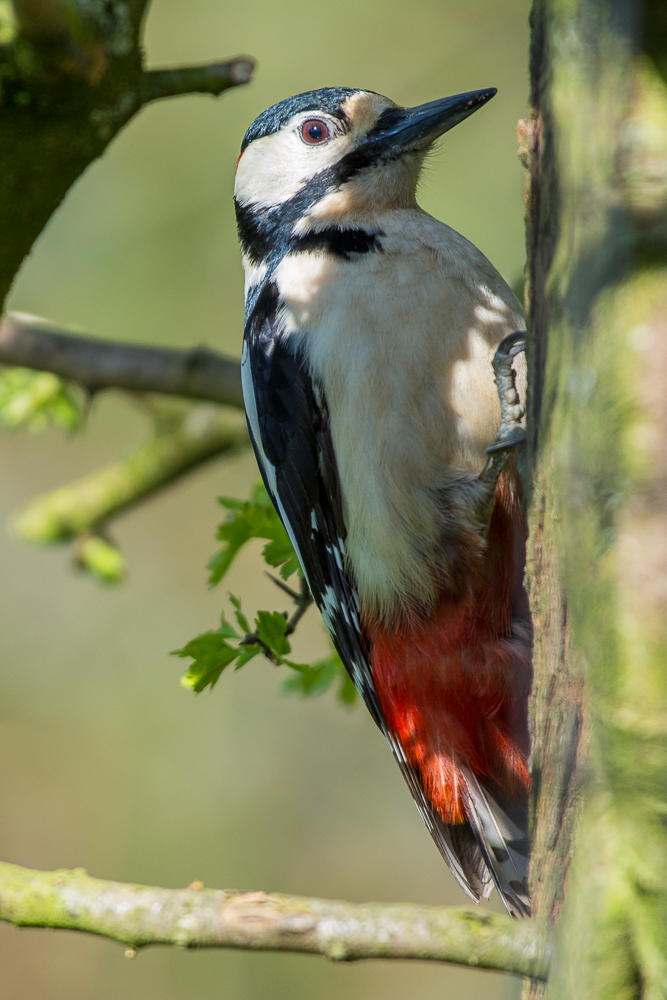 DSC_8935.jpg