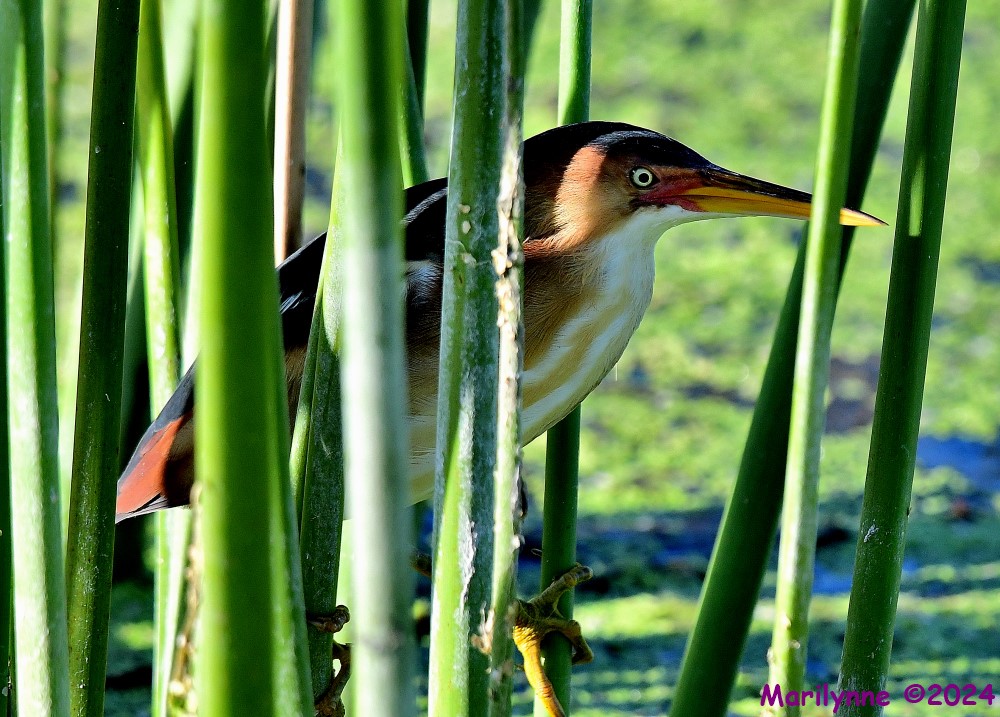 DSC_8940_001.JPG