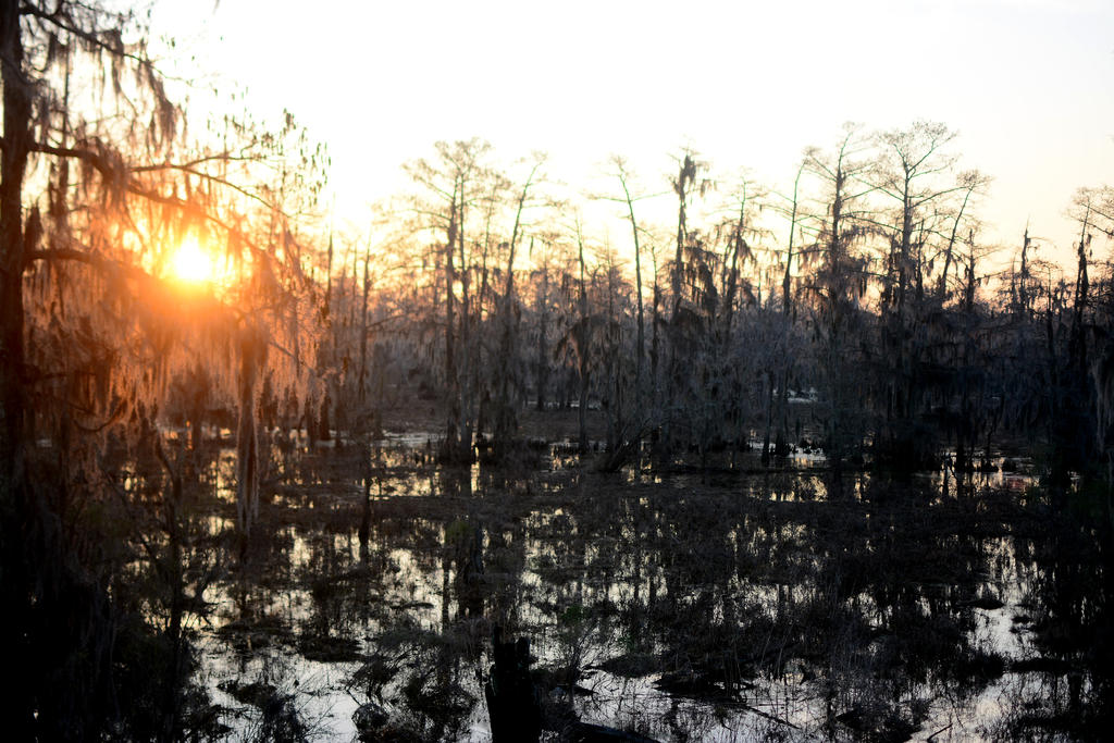 DSC_8953.jpg