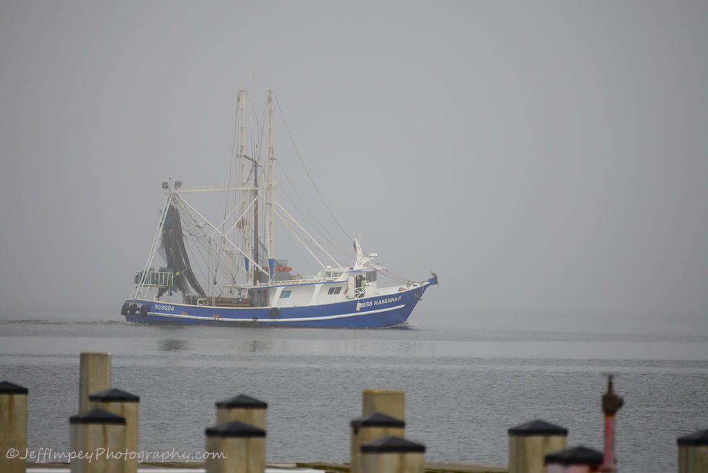 DSC_8953.jpg