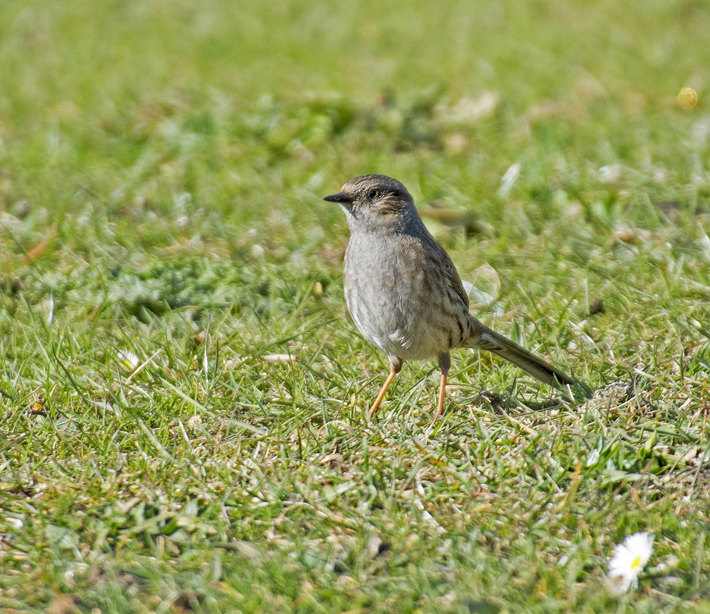 DSC_8956.jpg