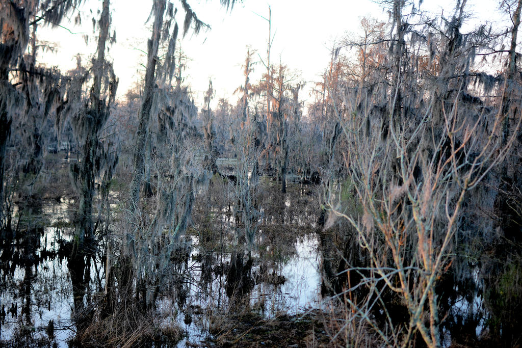 DSC_8958.jpg