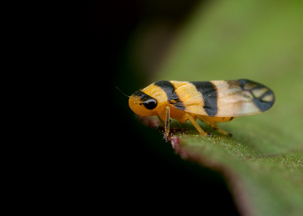 DSC_8964.jpg