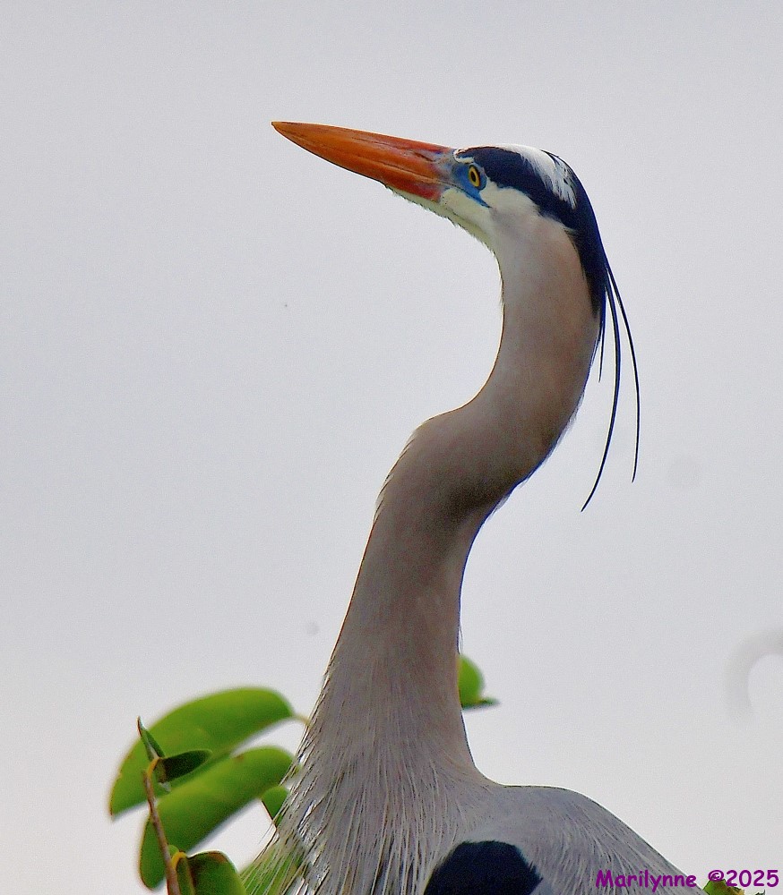 DSC_8967_001.JPG