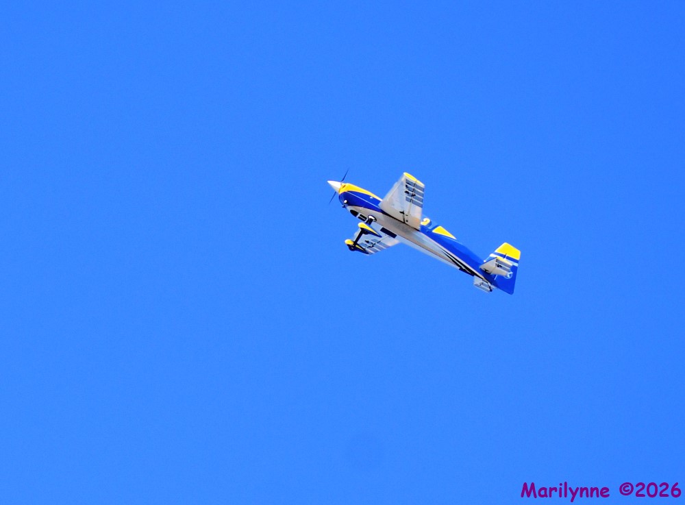 DSC_8967_001.JPG