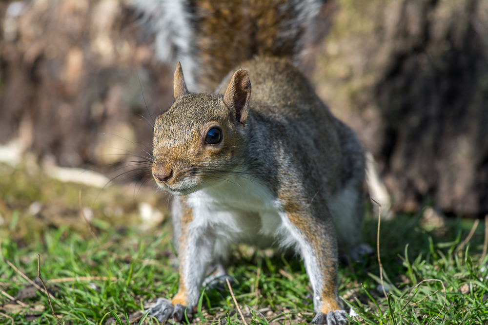 DSC_8971.jpg
