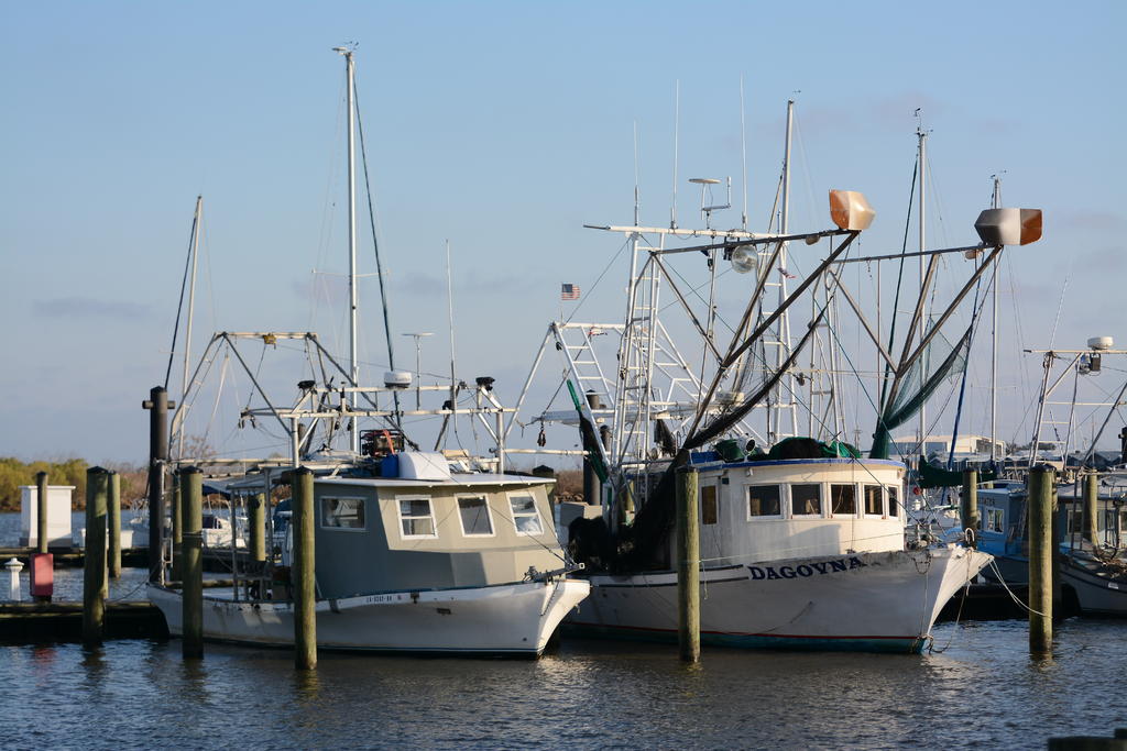 DSC_8974.jpg