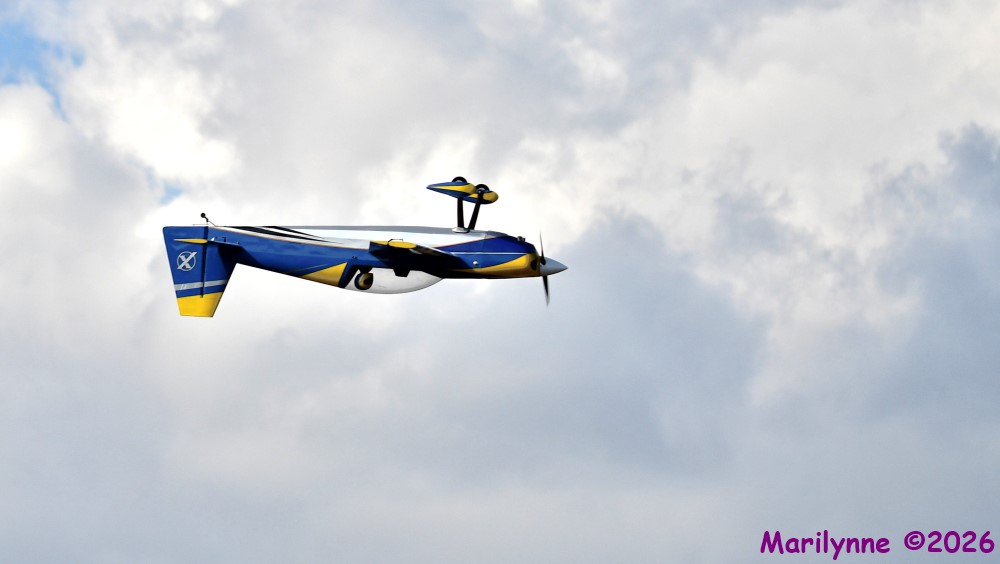 DSC_8974_001.JPG