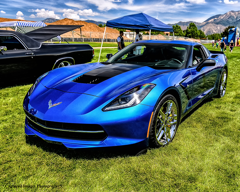 DSC_8978_W.jpg