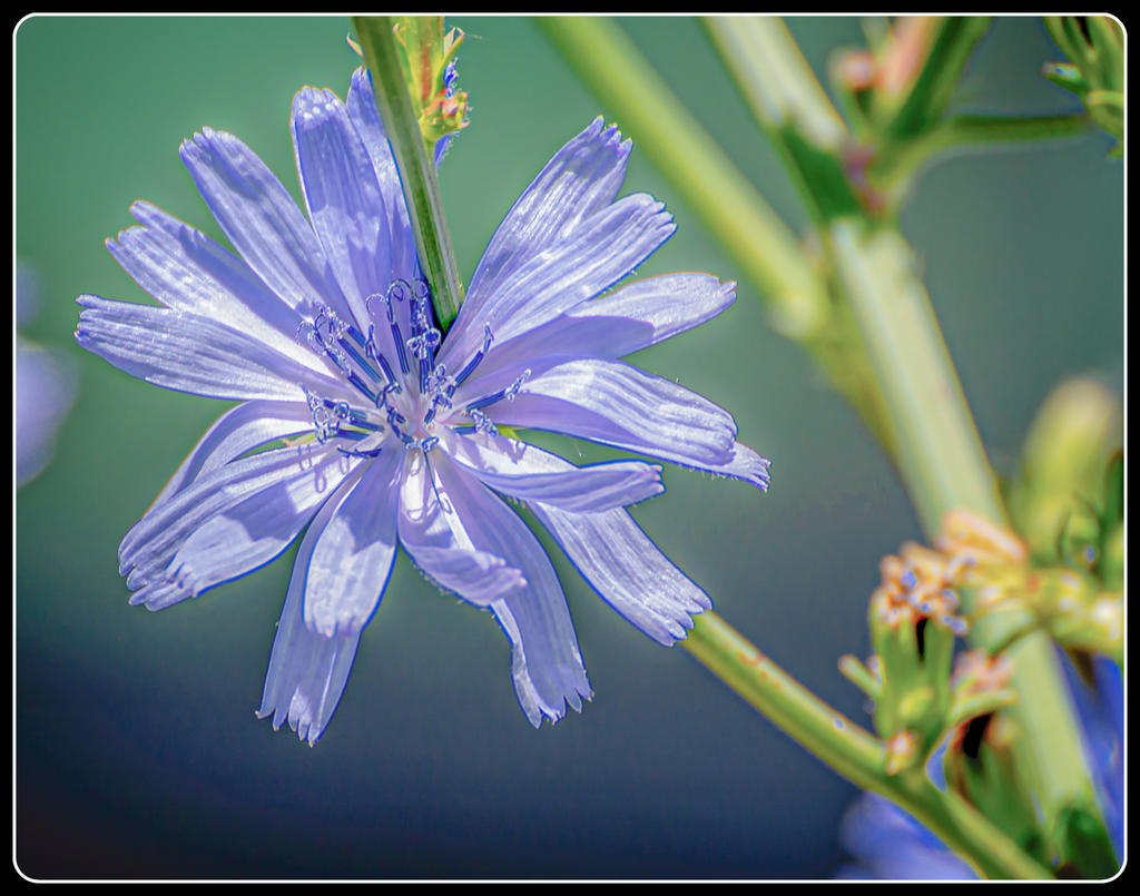 DSC_8983-Edit-2.jpg