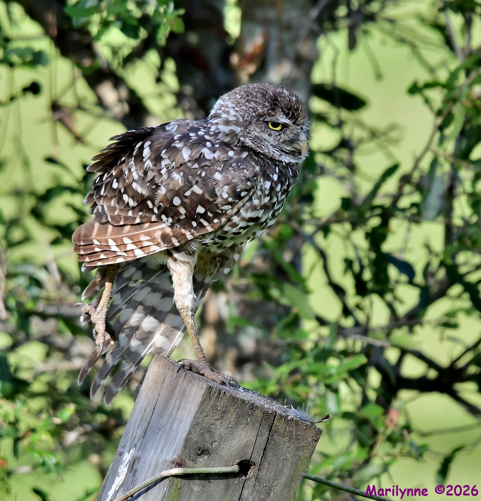 DSC_8989_001.JPG