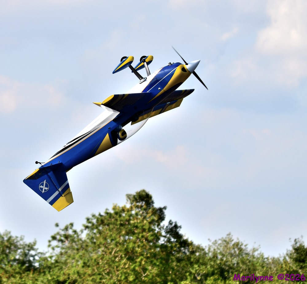 DSC_8991_001.JPG