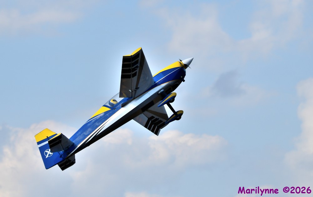 DSC_8996_001.JPG