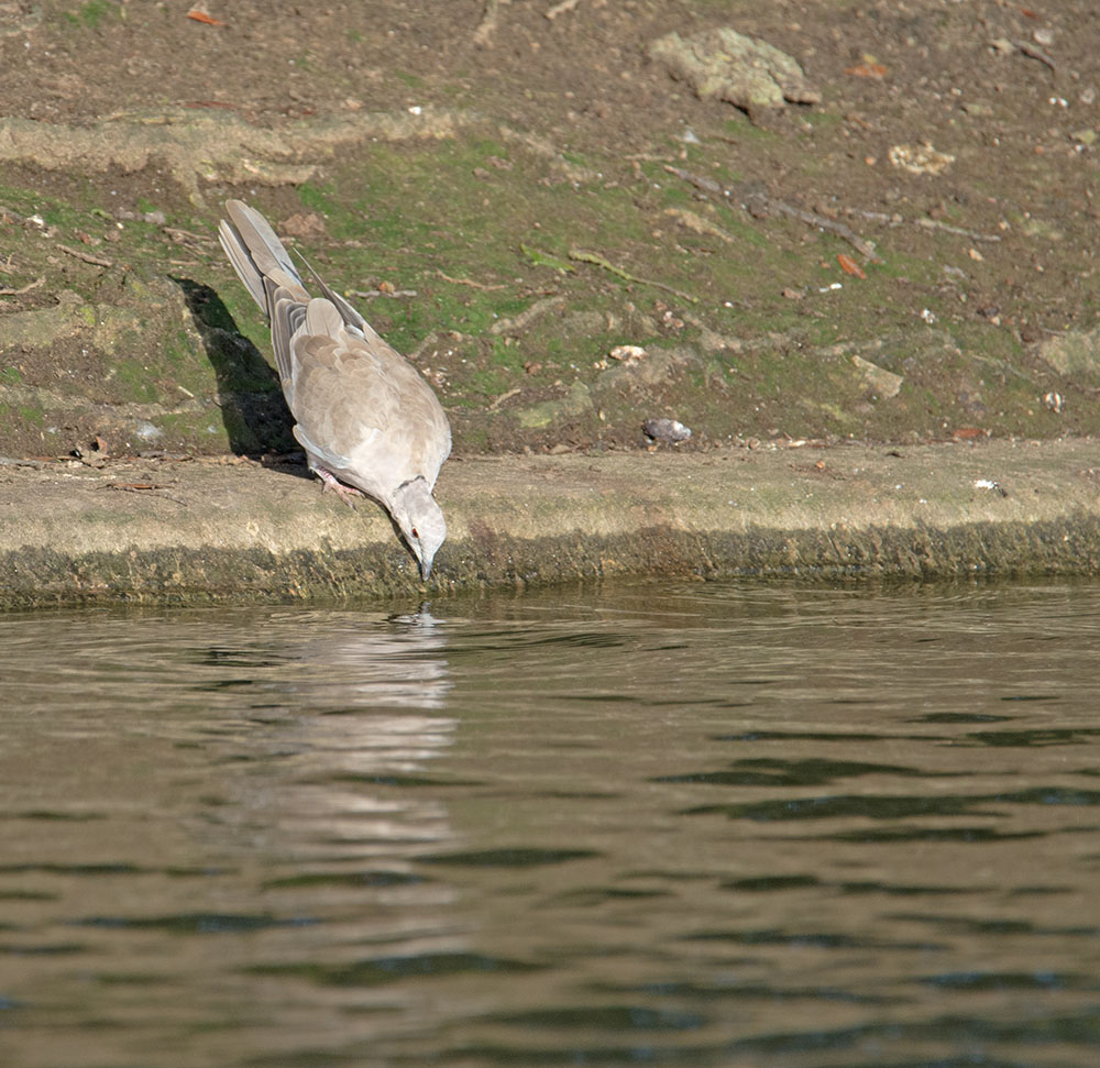 DSC_8997.jpg