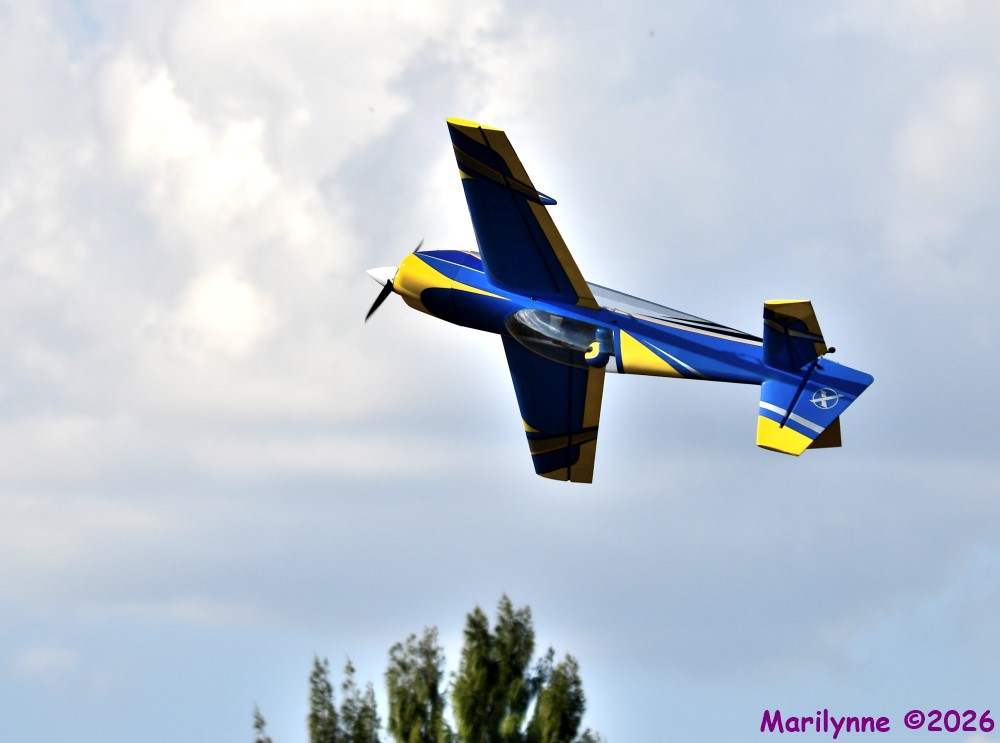 DSC_8997_001.JPG