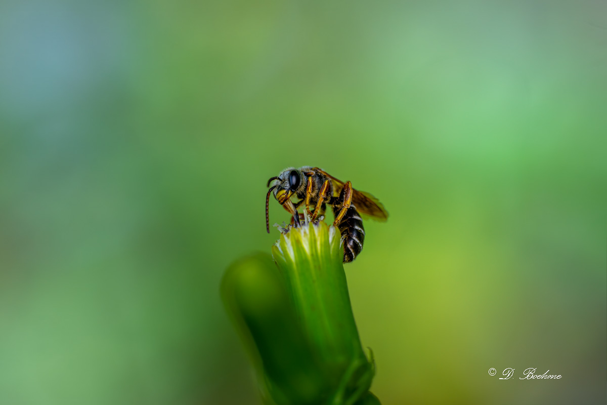 DSC_8999-topaz-denoise-2.jpg