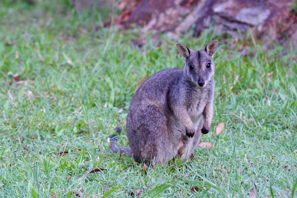DSC_9001.jpg