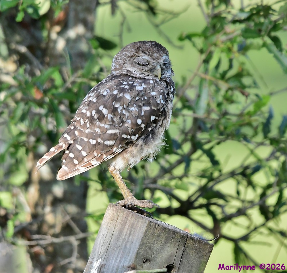 DSC_9001_001.JPG