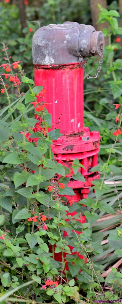 DSC_9001_stitch3_001_01.JPG