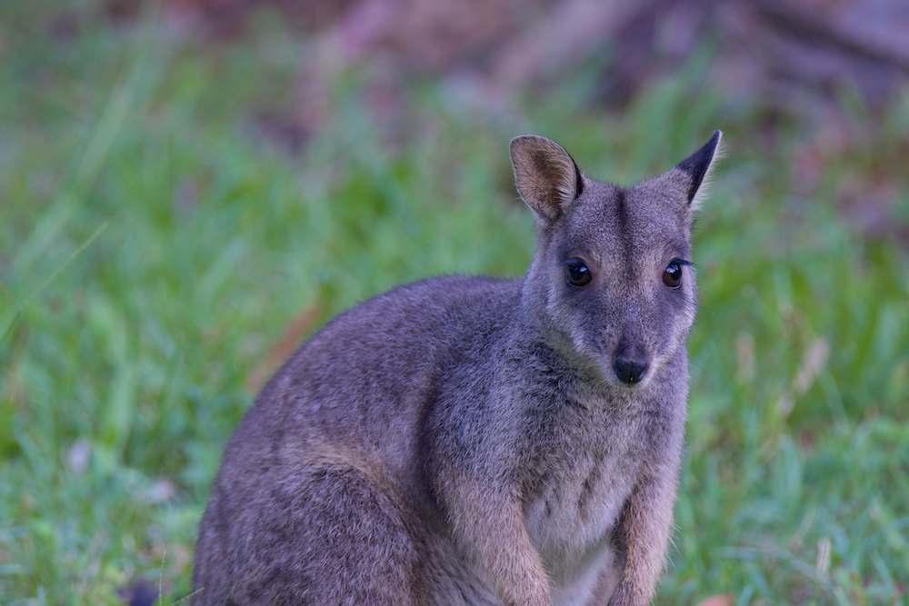 DSC_9004.jpg