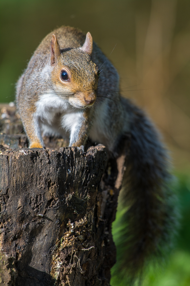 DSC_9004.jpg