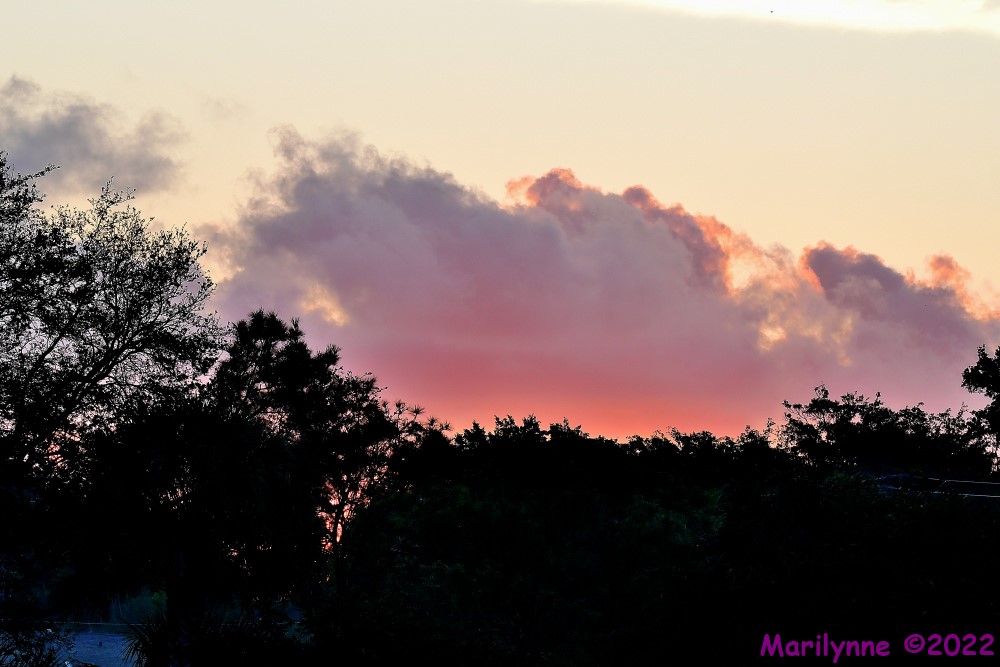 DSC_9009_001.JPG