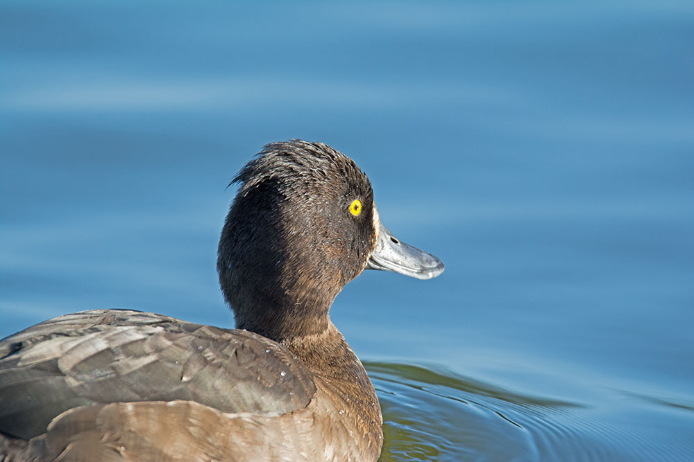 DSC_9022.jpg