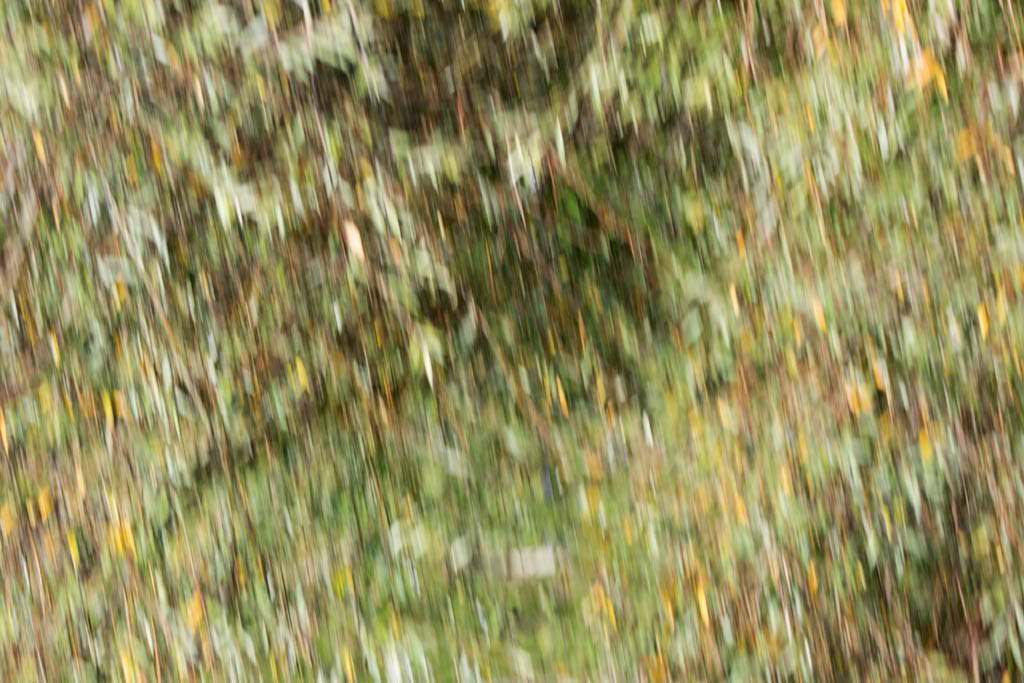 DSC_9023.jpg