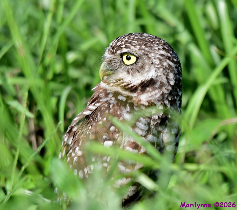 DSC_9025_001.JPG