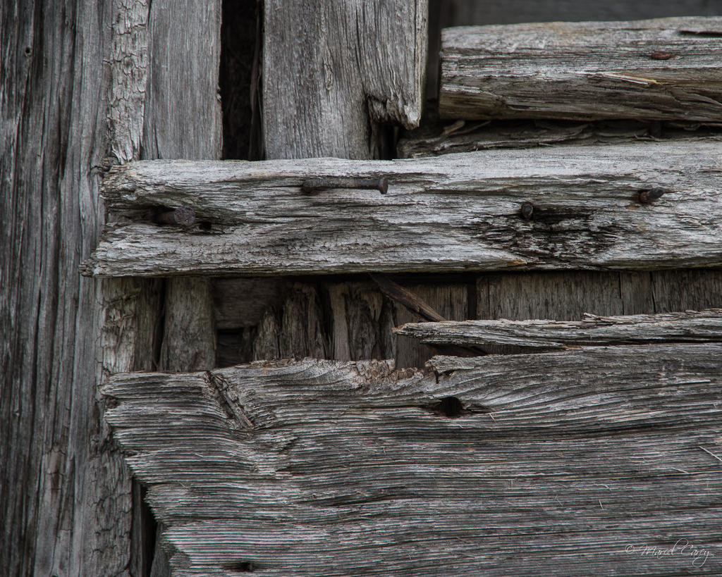 DSC_9028.jpg