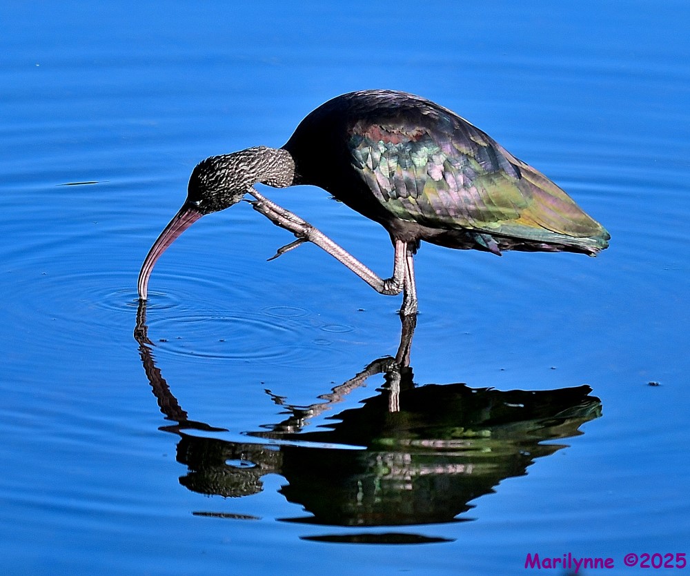 DSC_9028_001.JPG