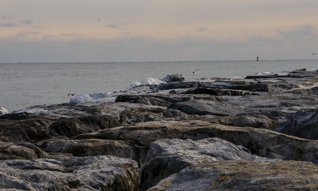 DSC_9029.jpg