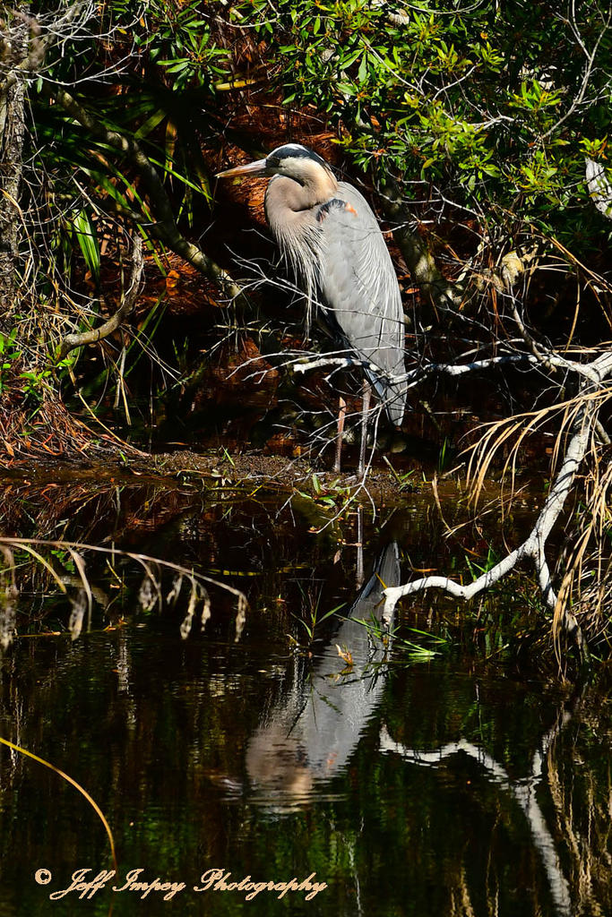 DSC_9032.jpg