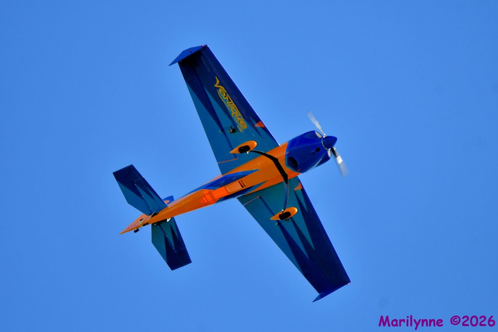 DSC_9035_001.JPG