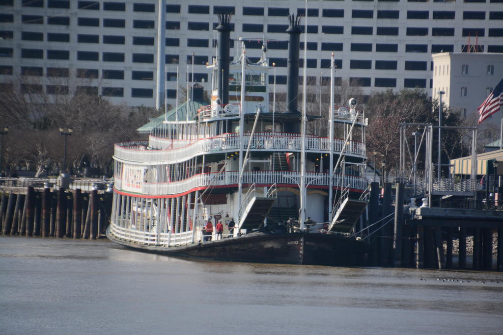 DSC_9037.jpg