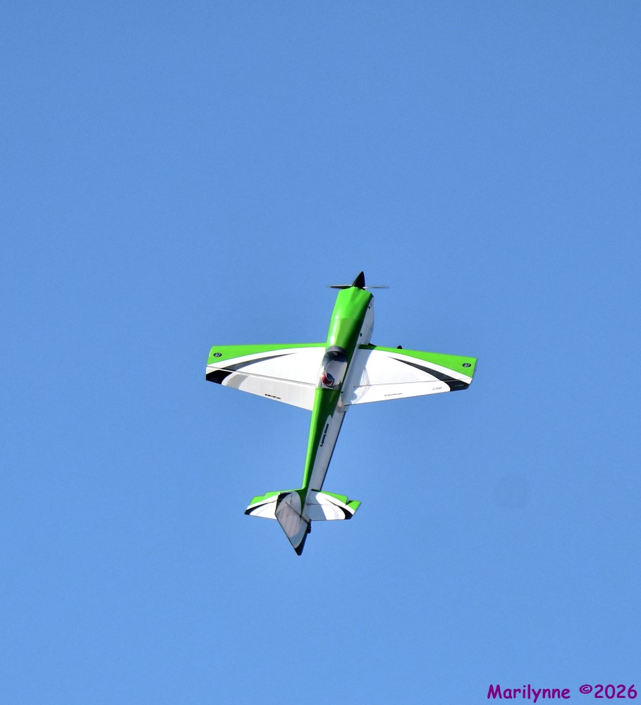 DSC_9037_001.JPG