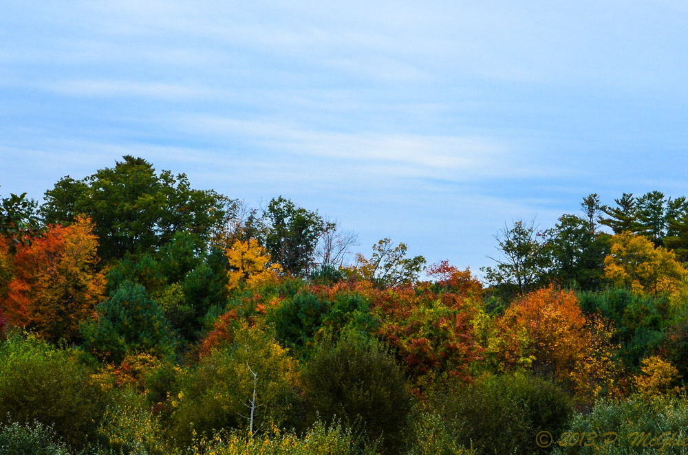 DSC_9046.jpg