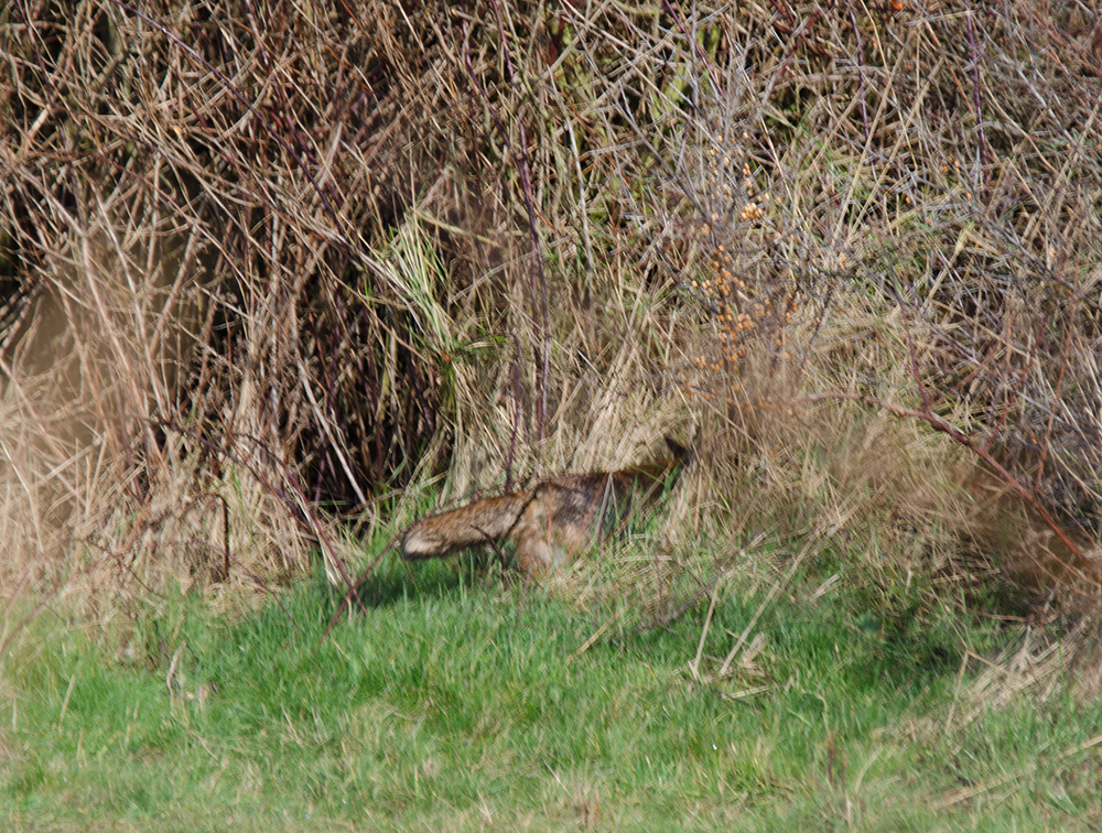 DSC_9050.jpg