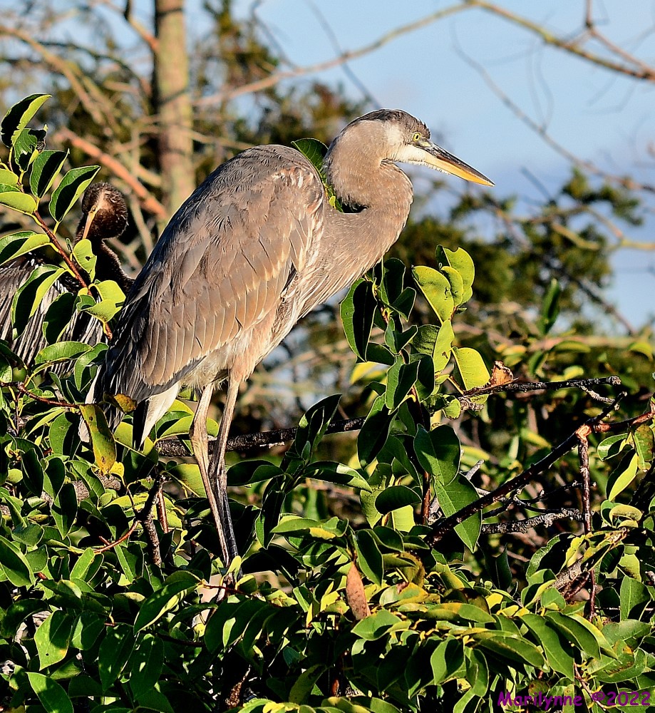 DSC_9058_001.JPG