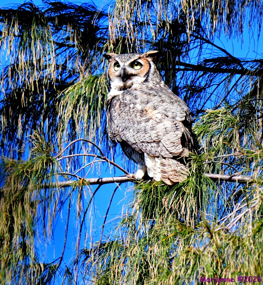 DSC_9070_001.JPG