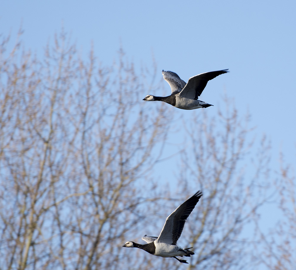 DSC_9078.jpg