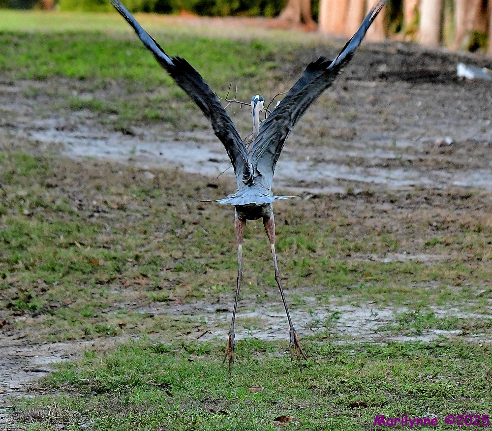 DSC_9078_001.JPG