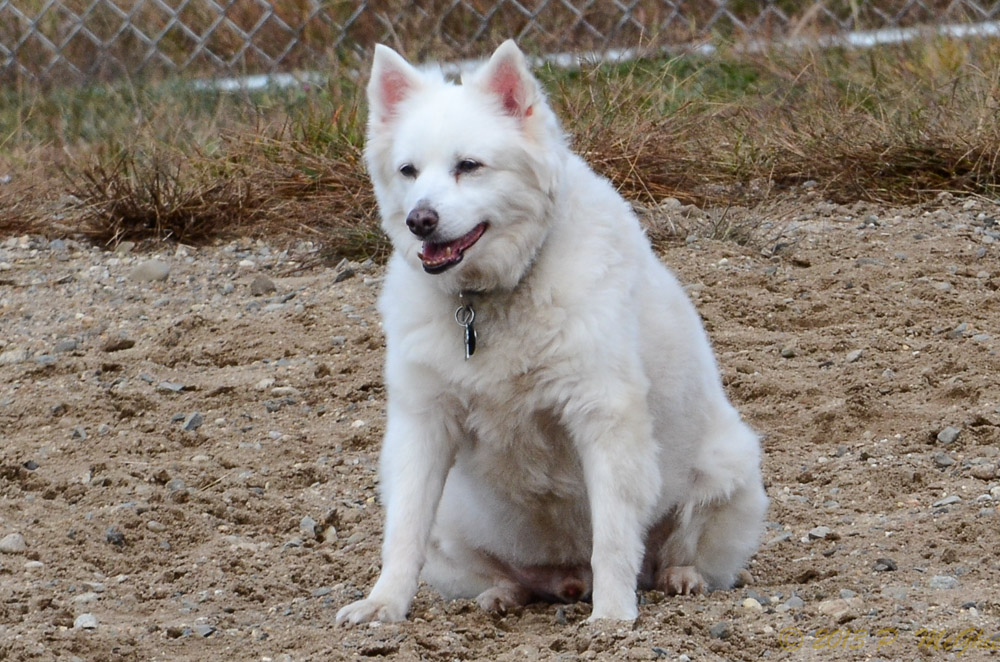 DSC_9081.jpg