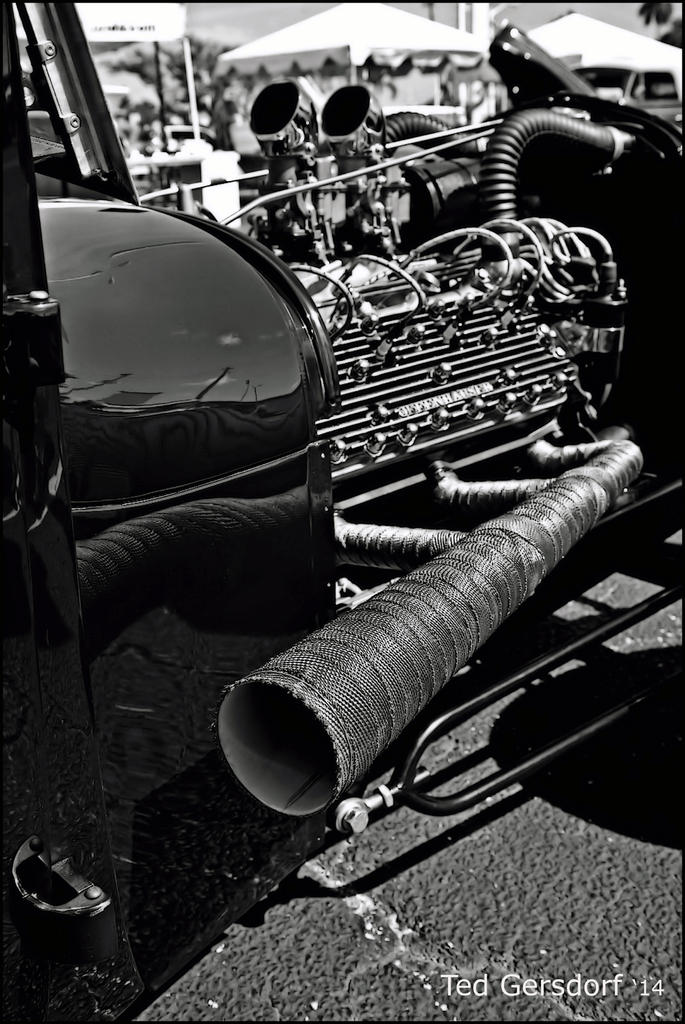 DSC_9086 bw.jpg
