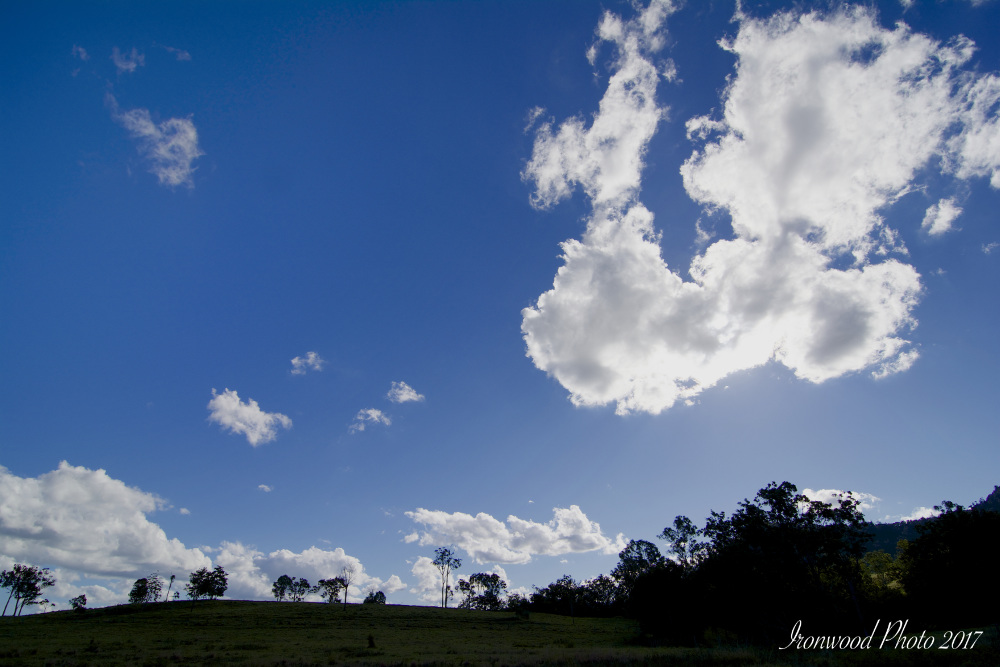 DSC_9095.jpg