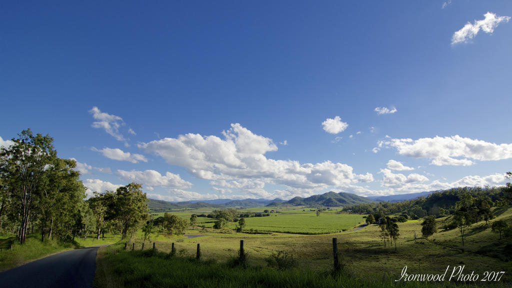 DSC_9100 - Version 2.jpg
