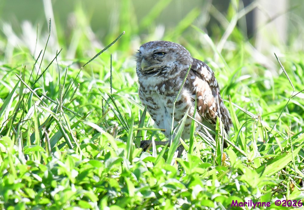 DSC_9104_001.JPG